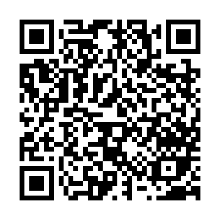 QR code for V313M