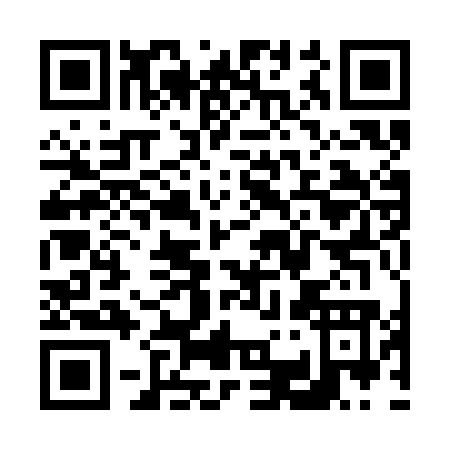 QR code for V313O