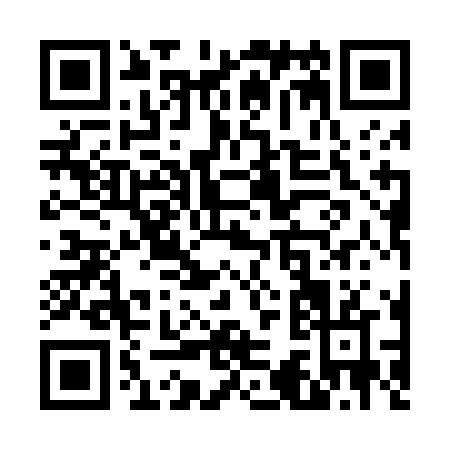 QR code for V314N