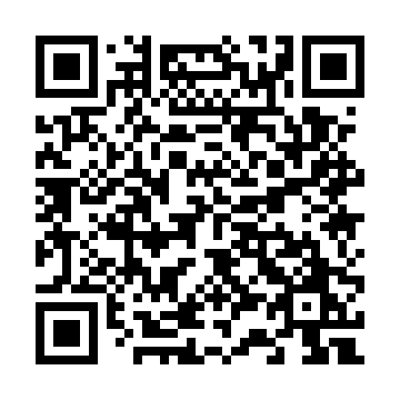 QR code for plate V31 5PO