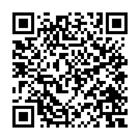 QR code for V317T
