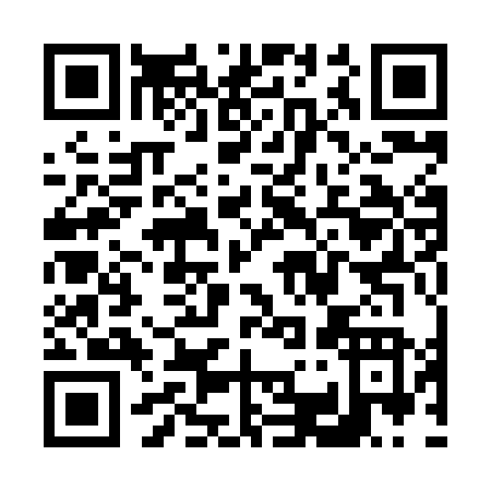 QR code for V318N