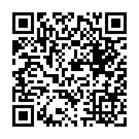 QR code for V319B