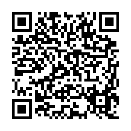 QR code for V323I