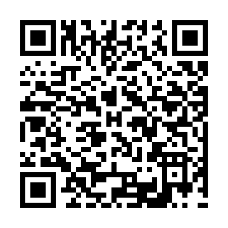 QR code for V333R