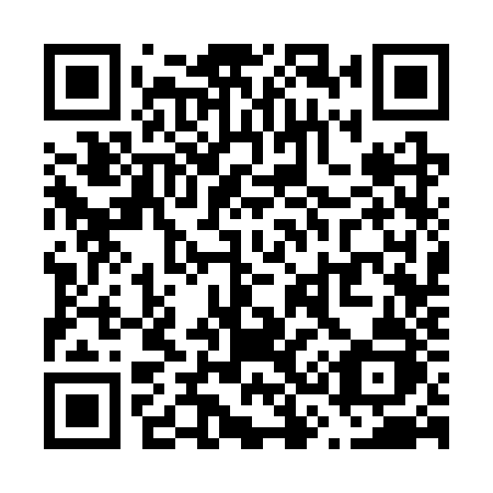 QR code for V333ZJ