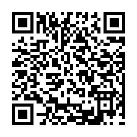 QR code for V338I