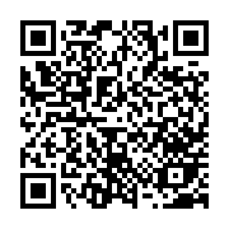 QR code for V368P