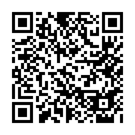 QR code for V370ZF