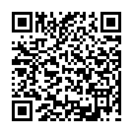 QR code for V378S