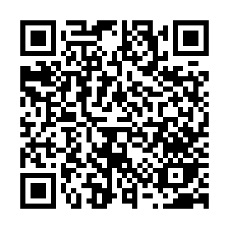QR code for V378Z