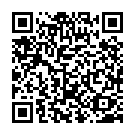 QR code for plate V38 1GY