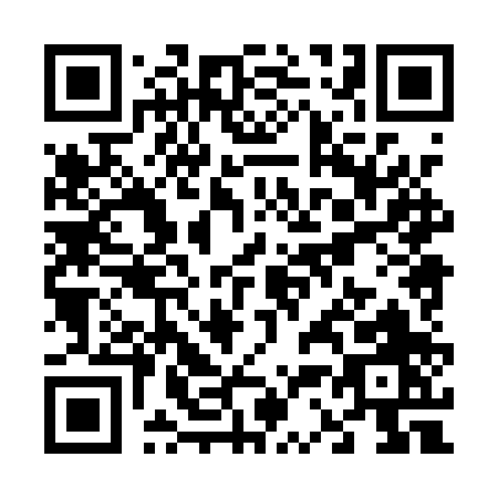 QR code for V381P