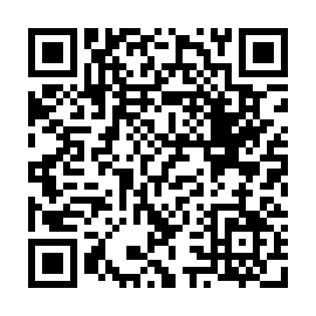 QR code for V381S