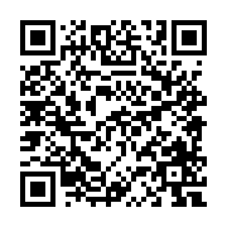 QR code for V381X