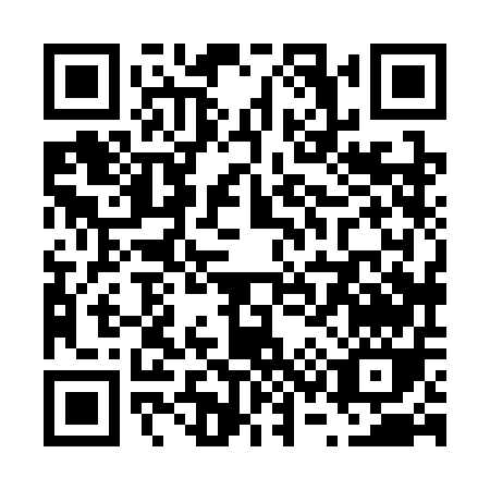 QR code for V383E