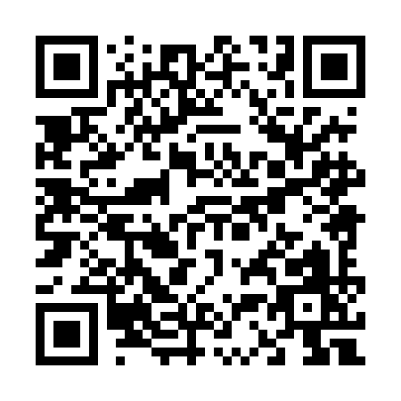 QR code for V384I