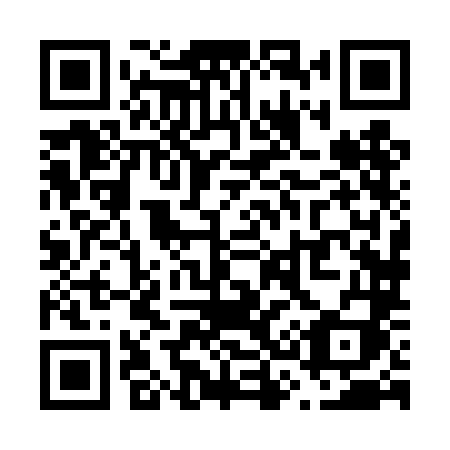 QR code for V384LI