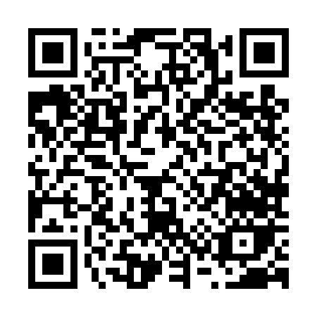 QR code for V384N
