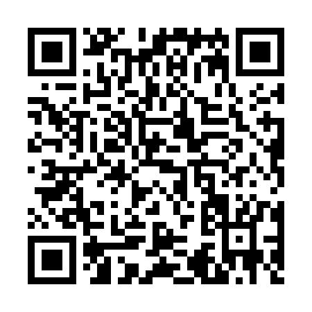 QR code for V385K