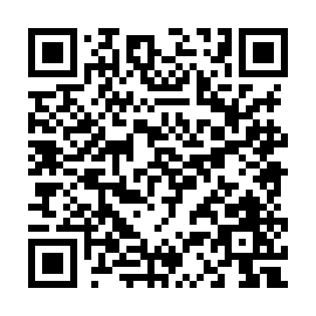 QR code for V388E
