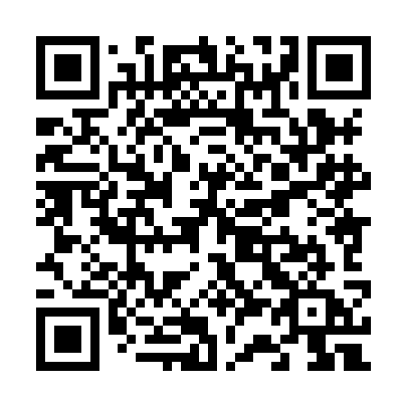 QR code for plate V38 8KA