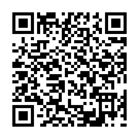 QR code for V388O