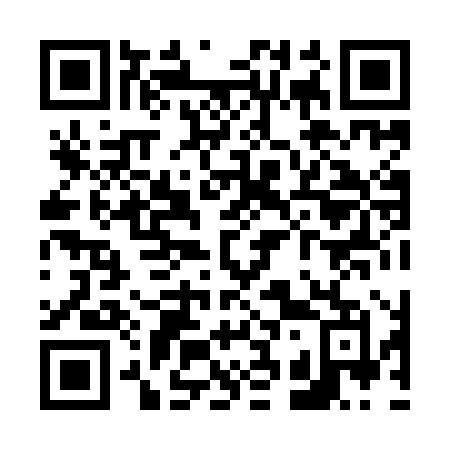QR code for plate V38 9HM