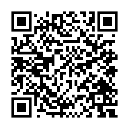 QR code for V390D
