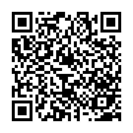 QR code for V390P