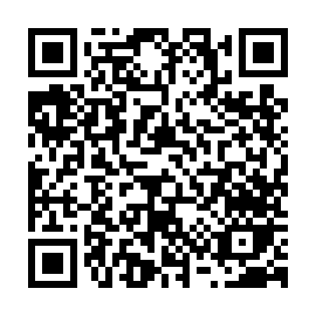 QR code for V394N