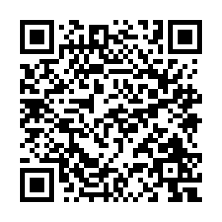 QR code for V397B