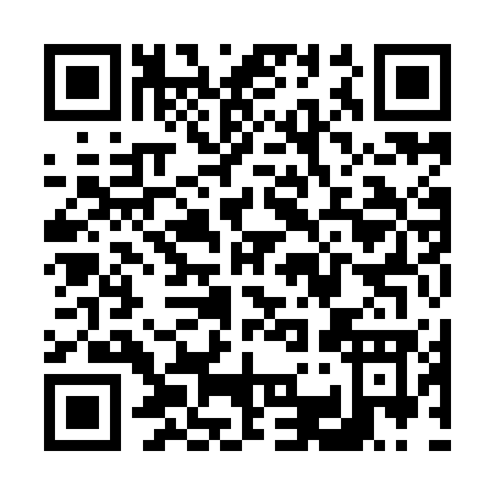 QR code for V399G
