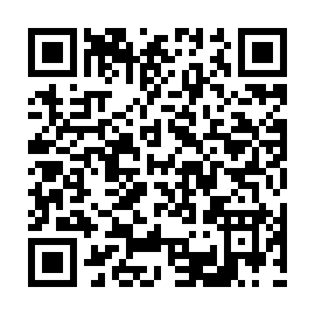 QR code for V399I