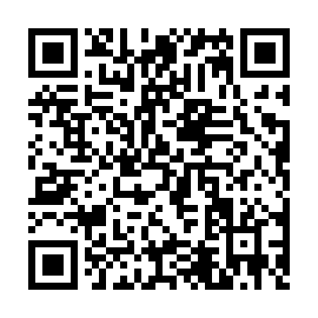 QR code for V402P