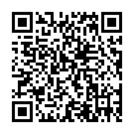 QR code for V411P