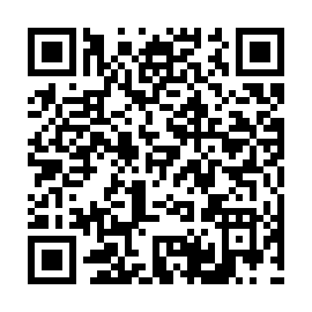 QR code for V413T