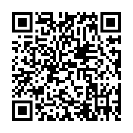 QR code for V419O