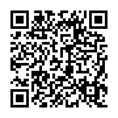 QR code for V419V