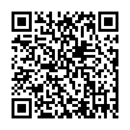 QR code for V420N