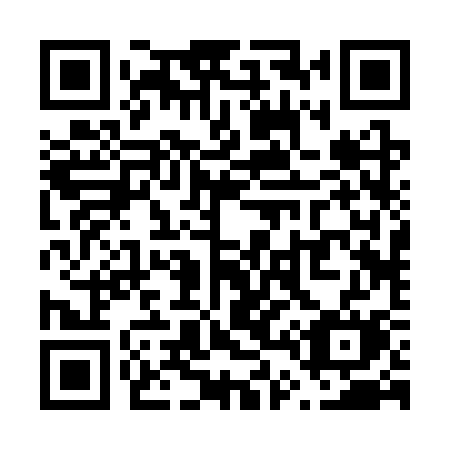 QR code for plate V42 3SM
