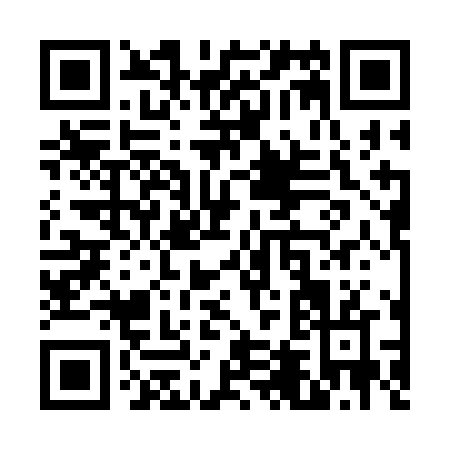 QR code for V433N