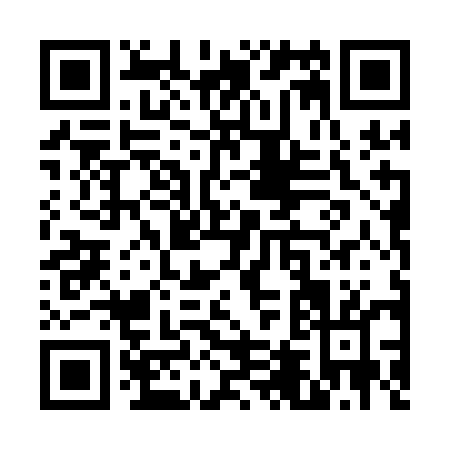 QR code for V441E