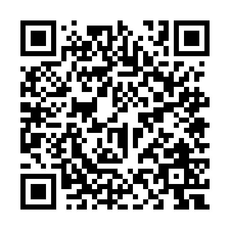 QR code for V455G