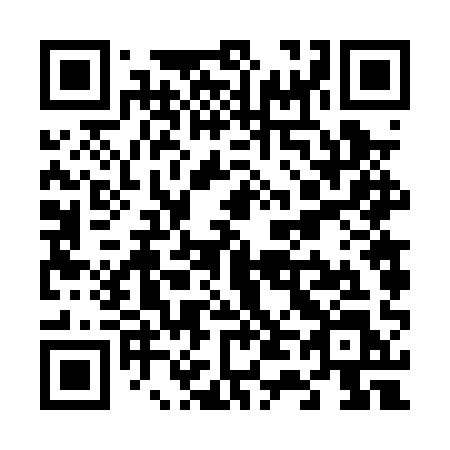 QR code for plate V46 0QL