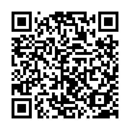 QR code for V463II