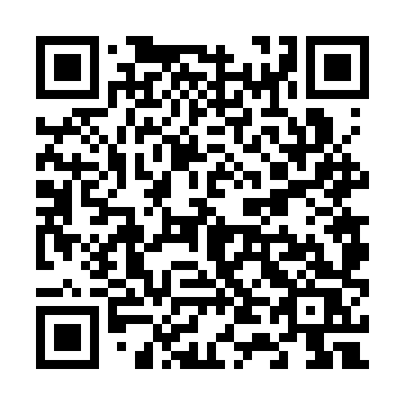 QR code for plate V46 3XS