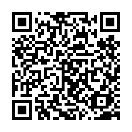 QR code for plate V46 4BH