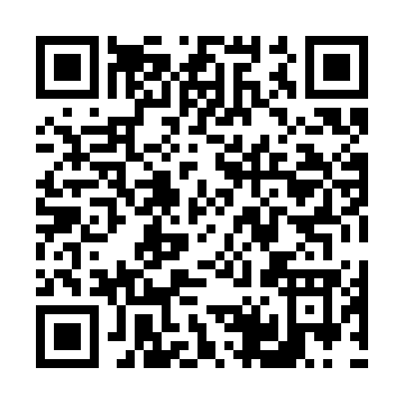 QR code for V483G