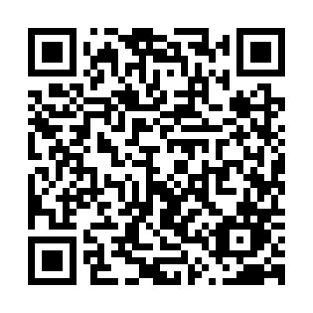 QR code for V493PN